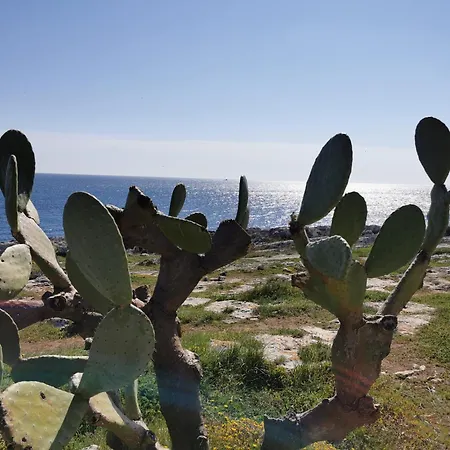 Appartamento Casa Del Glicine *
